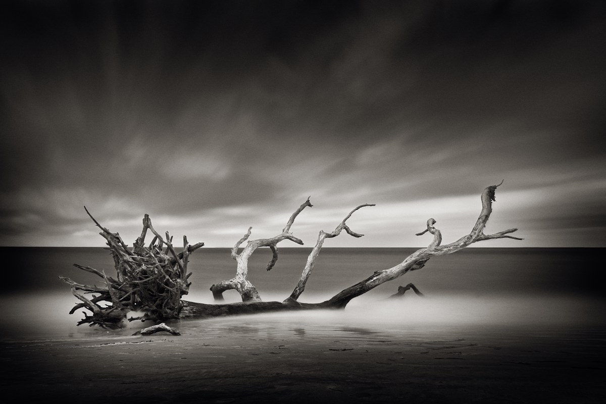 The Gales of November