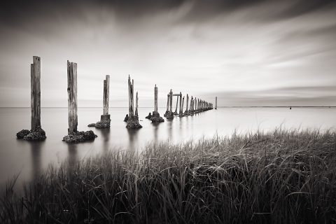 A Procession Into Absence