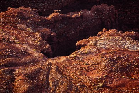 Canyon’s Crimson Pulse