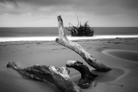 Distant Shoreline Spirits