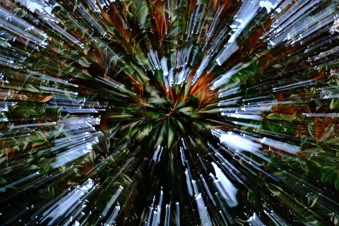 Explosion of Verdant Light