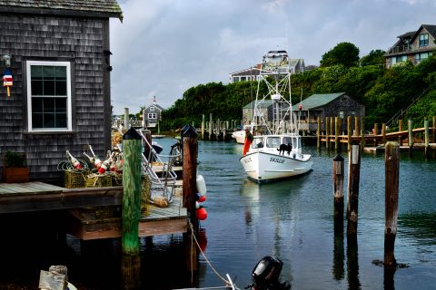 Harbor of the Patient Tide