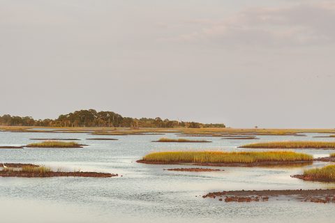 Islands Floating in the Painted Haze