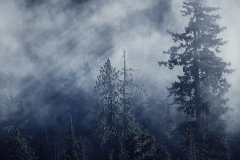 Light Piercing the Veil