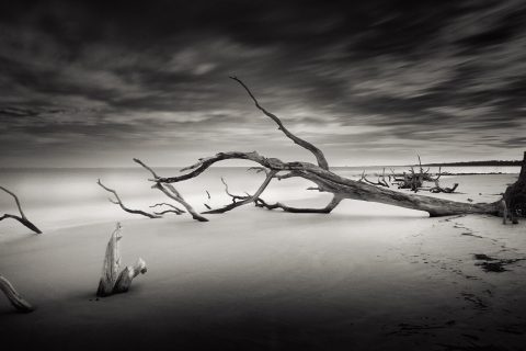 Monochrome Dreamscape