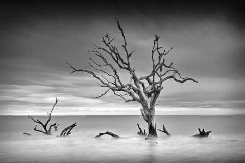 Monochrome Tide Spirits