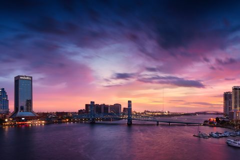 Neon Veins of the Night City