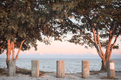 Sentinel Pillars of Eden