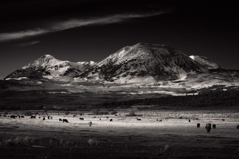 Shadows Across the Obsidian Plain