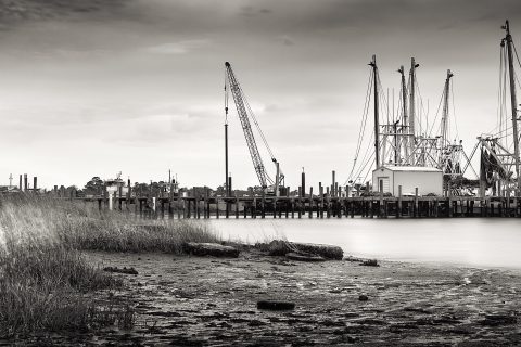 Skeletons of the Basin