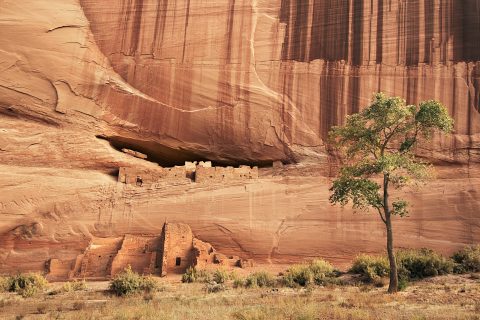 Solitude Beneath the Arch