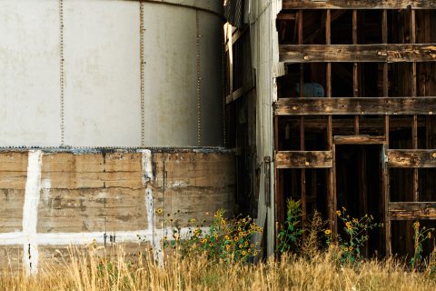 Steel Giants and Wooden Bones