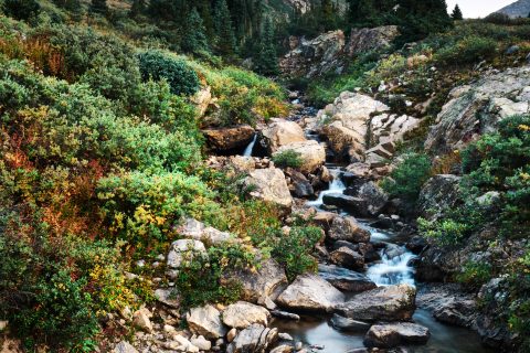 Stone and Stream's Dance