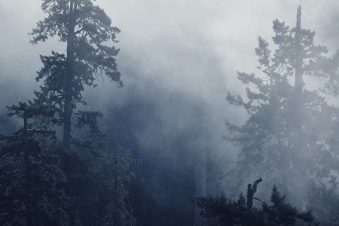 The Breath of the Ancients