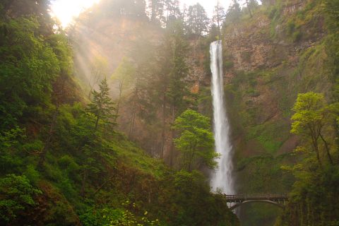 The Cascade of Ethereal Light