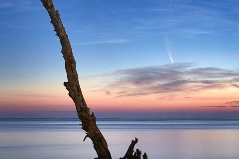 The Comet’s Silent Witness