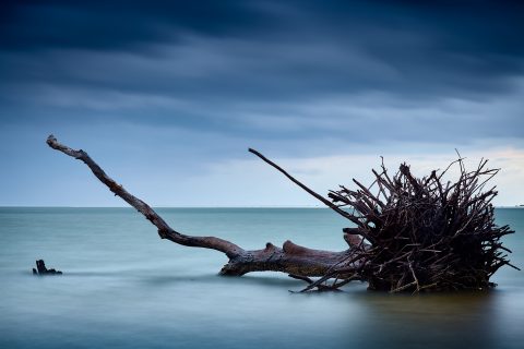 The Final Anchor of Storms