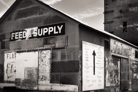 The General Store of Time