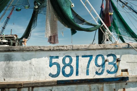 The Geometry of the Numbered Hull