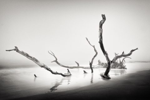 The Ghost in the Mist