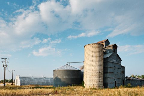 The Grain Tower in the Wide