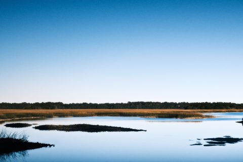 The Infinite Blue Above the Marsh
