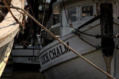 The Luck in the Wooden Bones