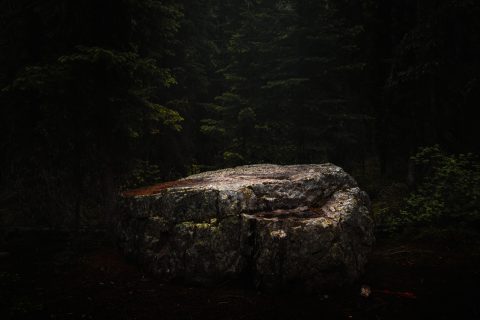 The Monolith in Shadow