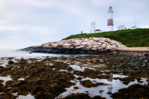 The Sentinel of the Graying Sea