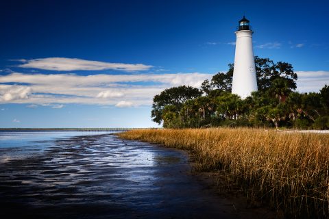 The Sentinel's Bright Vigil