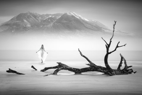 The Shore of Departures