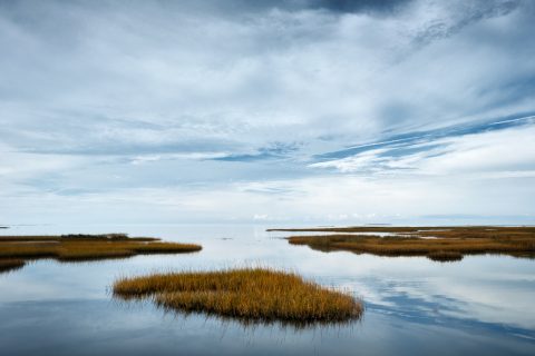 The Vastness of Between