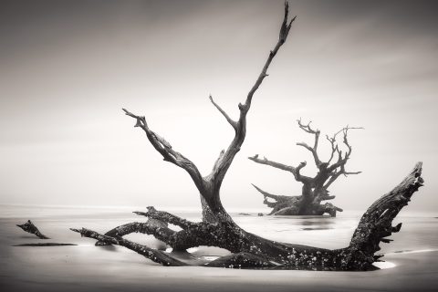 Twisted Thrones of Sand