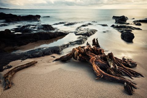 Washed Remains of Shore