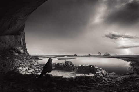 Watcher of the Storm